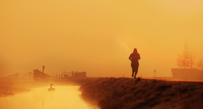 <i class='fa fa-user'></i> thijsglastra |   Knobbelzwaan  <i class='fa fa-eye'> 150</i>  <i class='fa fa-thumbs-up'> 4</i>   <i class='fa fa-comment-o'> 21</i>