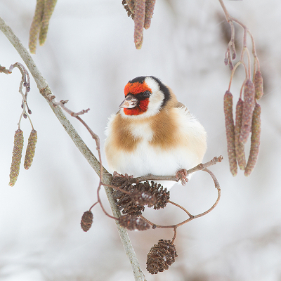 <i class='fa fa-user'></i> Tom |   Putter  <i class='fa fa-eye'> 265</i>  <i class='fa fa-thumbs-up'> 17</i>   <i class='fa fa-comment-o'> 10</i>