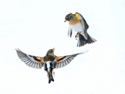 <i class='fa fa-user'></i> Gert-Jan Cromwijk |   Keep  <i class='fa fa-eye'> 344</i>  <i class='fa fa-thumbs-up'> 14</i>   <i class='fa fa-comment-o'> 11</i>