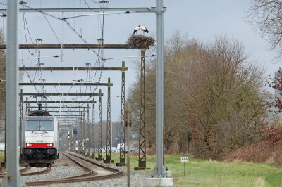 <i class='fa fa-user'></i> WillB |   Ooievaar  <i class='fa fa-eye'> 307</i>  <i class='fa fa-thumbs-up'> 5</i>   <i class='fa fa-comment-o'> 8</i>