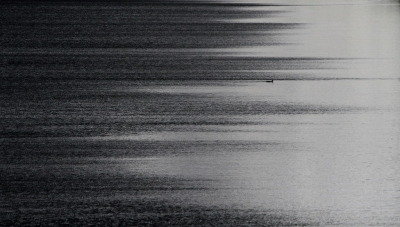 <i class='fa fa-user'></i> Fons Hoiting | Wilde Eend  <i class='fa fa-eye'> 419</i>  <i class='fa fa-thumbs-up'> 17</i>   <i class='fa fa-comment-o'> 21</i>