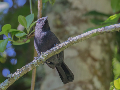 <i class='fa fa-user'></i> Paul van Giersbergen |   Flleborns Fiskaal  <i class='fa fa-eye'> 112</i>   <i class='fa fa-comment-o'> 0</i>