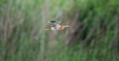 <i class='fa fa-user'></i> kevinhollmann |   Woudaap  <i class='fa fa-eye'> 132</i>   <i class='fa fa-comment-o'> 21</i>