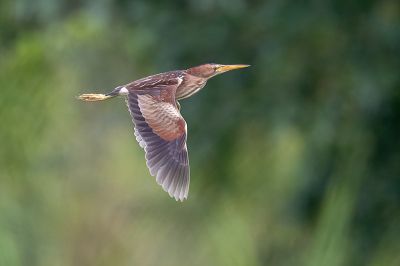 <i class='fa fa-user'></i> kevinhollmann |   Woudaap  <i class='fa fa-eye'> 398</i>  <i class='fa fa-thumbs-up'> 17</i>   <i class='fa fa-comment-o'> 9</i>