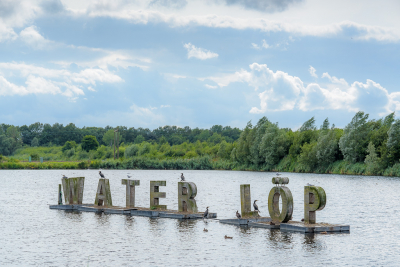 <i class='fa fa-user'></i> Wil Doorn-Meijne |   Aalscholver  <i class='fa fa-eye'> 120</i>  <i class='fa fa-thumbs-up'> 2</i>   <i class='fa fa-comment-o'> 18</i>