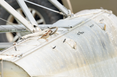 <i class='fa fa-user'></i> jan Luit |   Huismus  <i class='fa fa-eye'> 105</i>  <i class='fa fa-thumbs-up'> 2</i>   <i class='fa fa-comment-o'> 18</i>