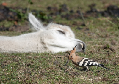 <i class='fa fa-user'></i> ko katsman |   Hop  <i class='fa fa-eye'> 375</i>  <i class='fa fa-thumbs-up'> 2</i>   <i class='fa fa-comment-o'> 3</i>