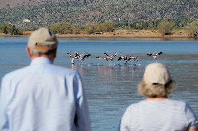 <i class='fa fa-user'></i> corvanspijk |   Flamingo  <i class='fa fa-eye'> 138</i>  <i class='fa fa-thumbs-up'> 6</i>   <i class='fa fa-comment-o'> 18</i>