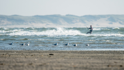 <i class='fa fa-user'></i> christina |   Kokmeeuw  <i class='fa fa-eye'> 105</i>  <i class='fa fa-thumbs-up'> 1</i>   <i class='fa fa-comment-o'> 18</i>