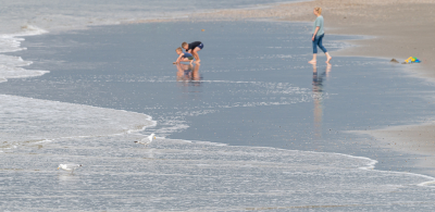 <i class='fa fa-user'></i> Conny Schotanus |   Zilvermeeuw  <i class='fa fa-eye'> 110</i>  <i class='fa fa-thumbs-up'> 1</i>   <i class='fa fa-comment-o'> 17</i>