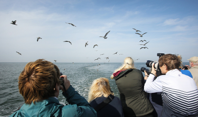 <i class='fa fa-user'></i> thijsglastra |   Zilvermeeuw  <i class='fa fa-eye'> 212</i>  <i class='fa fa-thumbs-up'> 7</i>   <i class='fa fa-comment-o'> 17</i>