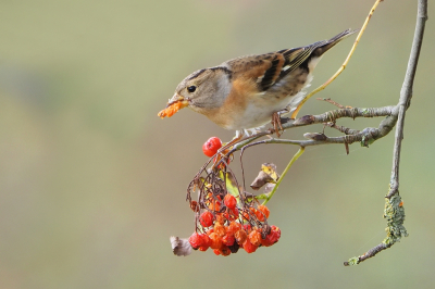 <i class='fa fa-user'></i> corvanspijk |   Keep  <i class='fa fa-eye'> 296</i>  <i class='fa fa-thumbs-up'> 11</i>   <i class='fa fa-comment-o'> 12</i>