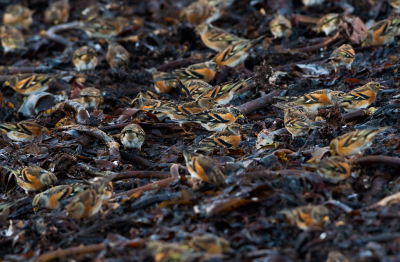 <i class='fa fa-user'></i> Hans Overduin |   Keep  <i class='fa fa-eye'> 468</i>  <i class='fa fa-thumbs-up'> 12</i>   <i class='fa fa-comment-o'> 11</i>