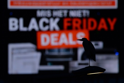 <i class='fa fa-user'></i> Peter Stam |   Blauwe Reiger  <i class='fa fa-eye'> 487</i>  <i class='fa fa-thumbs-up'> 25</i>   <i class='fa fa-comment-o'> 15</i>