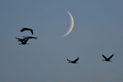 s"Avonds na ondergang zon vanuit een vogeluitzicht platform gefotografeerd.