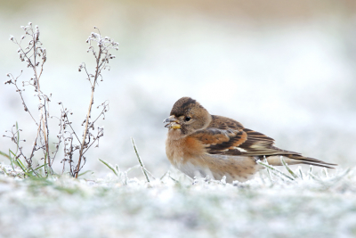 <i class='fa fa-user'></i> Gejo Wassink |   Keep  <i class='fa fa-eye'> 266</i>  <i class='fa fa-thumbs-up'> 18</i>   <i class='fa fa-comment-o'> 12</i>