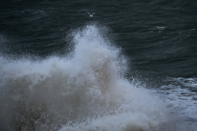 <i class='fa fa-user'></i> Vincent Vuik |   Stormmeeuw  <i class='fa fa-eye'> 154</i>  <i class='fa fa-thumbs-up'> 6</i>   <i class='fa fa-comment-o'> 19</i>