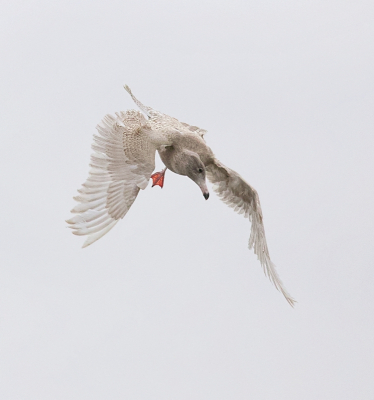 <i class='fa fa-user'></i> Leo Tukker |   Grote Burgemeester  <i class='fa fa-eye'> 151</i>  <i class='fa fa-thumbs-up'> 2</i>   <i class='fa fa-comment-o'> 24</i>