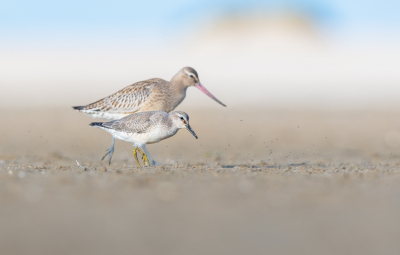 <i class='fa fa-user'></i> Hans Overduin |   Kanoet  <i class='fa fa-eye'> 342</i>  <i class='fa fa-thumbs-up'> 32</i>   <i class='fa fa-comment-o'> 12</i>