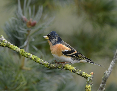 <i class='fa fa-user'></i> henkdikkers |   Keep  <i class='fa fa-eye'> 299</i>  <i class='fa fa-thumbs-up'> 21</i>   <i class='fa fa-comment-o'> 15</i>