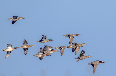 <i class='fa fa-user'></i> Harrie51 |   Wintertaling  <i class='fa fa-eye'> 161</i>  <i class='fa fa-thumbs-up'> 2</i>   <i class='fa fa-comment-o'> 27</i>