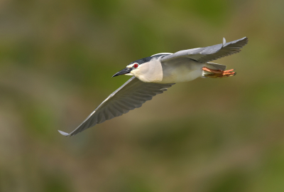 <i class='fa fa-user'></i> Johan G |   Kwak  <i class='fa fa-eye'> 236</i>  <i class='fa fa-thumbs-up'> 7</i>   <i class='fa fa-comment-o'> 4</i>