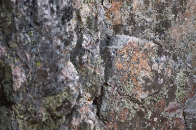 <i class='fa fa-user'></i> Hans Overduin |   Rotszwaluw  <i class='fa fa-eye'> 313</i>   <i class='fa fa-comment-o'> 7</i>