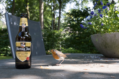 <i class='fa fa-user'></i> Gert-Jan Cromwijk |   Roodborst  <i class='fa fa-eye'> 148</i>  <i class='fa fa-thumbs-up'> 1</i>   <i class='fa fa-comment-o'> 25</i>