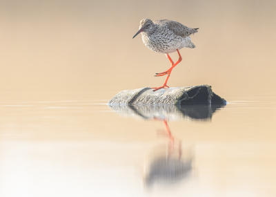 <i class='fa fa-user'></i> Katoo |   Tureluur  <i class='fa fa-eye'> 307</i>  <i class='fa fa-thumbs-up'> 25</i>   <i class='fa fa-comment-o'> 13</i>