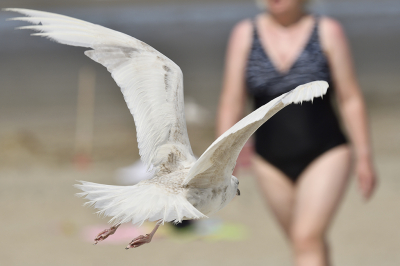 <i class='fa fa-user'></i> josephine |   Kleine Burgemeester  <i class='fa fa-eye'> 390</i>  <i class='fa fa-thumbs-up'> 6</i>   <i class='fa fa-comment-o'> 12</i>