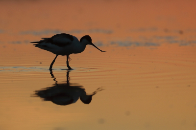 <i class='fa fa-user'></i> hjstukker |   Kluut  <i class='fa fa-eye'> 80</i>  <i class='fa fa-thumbs-up'> 1</i>   <i class='fa fa-comment-o'> 18</i>