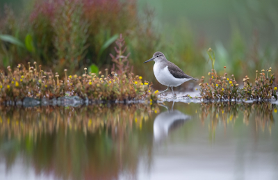 <i class='fa fa-user'></i> Hans Overduin |   Oeverloper  <i class='fa fa-eye'> 346</i>  <i class='fa fa-thumbs-up'> 15</i>   <i class='fa fa-comment-o'> 13</i>