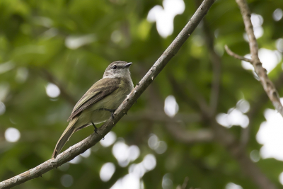<i class='fa fa-user'></i> Paul van Giersbergen |   Jamaica-elenia  <i class='fa fa-eye'> 103</i>   <i class='fa fa-comment-o'> 0</i>