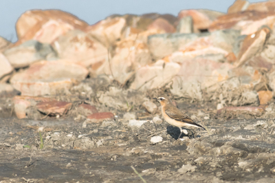 <i class='fa fa-user'></i> christina |   Tapuit  <i class='fa fa-eye'> 83</i>   <i class='fa fa-comment-o'> 18</i>