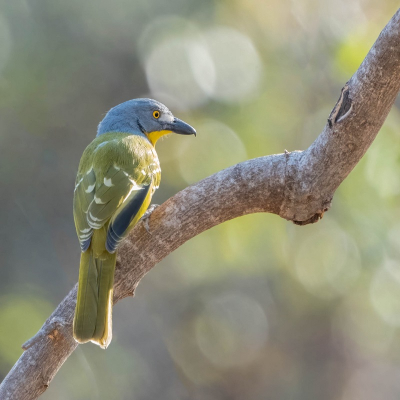 <i class='fa fa-user'></i> harrie69 |   Spookklauwier  <i class='fa fa-eye'> 198</i>  <i class='fa fa-thumbs-up'> 3</i>   <i class='fa fa-comment-o'> 4</i>