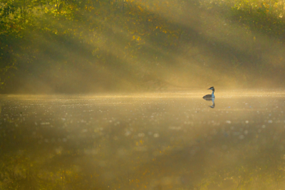 <i class='fa fa-user'></i> Vincent Vuik |   Fuut  <i class='fa fa-eye'> 167</i>  <i class='fa fa-thumbs-up'> 12</i>   <i class='fa fa-comment-o'> 21</i>