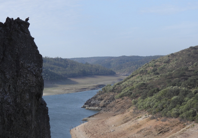 <i class='fa fa-user'></i> sieb |   Vale Gier  <i class='fa fa-eye'> 256</i>  <i class='fa fa-thumbs-up'> 14</i>   <i class='fa fa-comment-o'> 10</i>