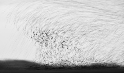 <i class='fa fa-user'></i> LeerdammerKees |   Spreeuw  <i class='fa fa-eye'> 271</i>  <i class='fa fa-thumbs-up'> 13</i>   <i class='fa fa-comment-o'> 10</i>