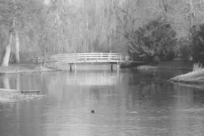 <i class='fa fa-user'></i> Mark de Bruijn |   Meerkoet  <i class='fa fa-eye'> 132</i>  <i class='fa fa-thumbs-up'> 4</i>   <i class='fa fa-comment-o'> 16</i>