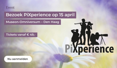 <i class='fa fa-user'></i> Daan Schoonhoven |   Paarskroonkoketkolibrie  <i class='fa fa-eye'> 42</i>   <i class='fa fa-comment-o'> 1</i>