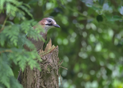 <i class='fa fa-user'></i>&nbsp;RTL&nbsp;|   Gaai&nbsp; <i class='fa fa-eye'>&nbsp;96</i> &nbsp; <i class='fa fa-comment-o'>&nbsp;1</i>