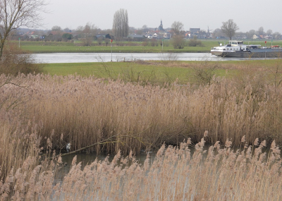 <i class='fa fa-user'></i>&nbsp;sieb&nbsp;|   Blauwe Reiger&nbsp; <i class='fa fa-eye'>&nbsp;254</i> &nbsp;<i class='fa fa-thumbs-up'>&nbsp;8</i> &nbsp; <i class='fa fa-comment-o'>&nbsp;9</i>