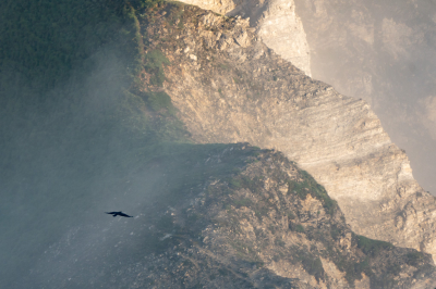 <i class='fa fa-user'></i>&nbsp;Vincent Vuik&nbsp;|   Raaf&nbsp; <i class='fa fa-eye'>&nbsp;398</i> &nbsp;<i class='fa fa-thumbs-up'>&nbsp;11</i> &nbsp; <i class='fa fa-comment-o'>&nbsp;15</i>