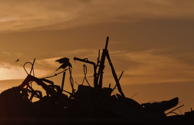 s 'vonds en ook in de weekenden begeef ik me voor het fotograferen van vogels graag in de stad .Vooral in de industriegebieden en dan vooral de recyclebedrijven vind je veel vogels.Een ander bijkomend  voordeel is ,dat hier nooit mensen en of andere fotografen aanwezig zijn; kun je lekker ongestoord te werk gaan.
Op het terrein van een  puin-verwerkende bedrijf zitten veelal kraai-achtigen.Op deze avond ,een zwarte kraai ; "de dirigent van het vuilharmonisch orkest"