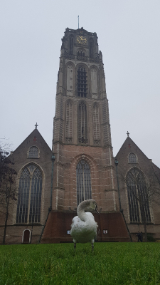 <i class='fa fa-user'></i> Peter Stam |   Knobbelzwaan  <i class='fa fa-eye'> 240</i>  <i class='fa fa-thumbs-up'> 2</i>   <i class='fa fa-comment-o'> 3</i>