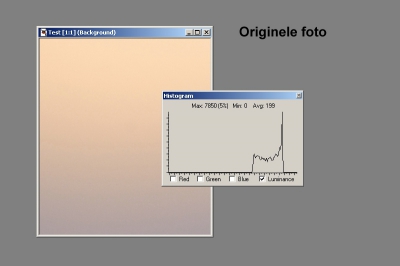 Dit is het originele fragment dat ik voor de test heb gebruikt. Het is een mooi stukje glijdende toonschaal zonder uitgesproken donkere en lichte stukken. Op dit bestand heb ik in RAW en JPG een bewerking uitgevoerd die het contrast sterk opvoerd. (Histogram uitrekken)