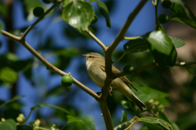 Iso 400, 1/3000, F5.6