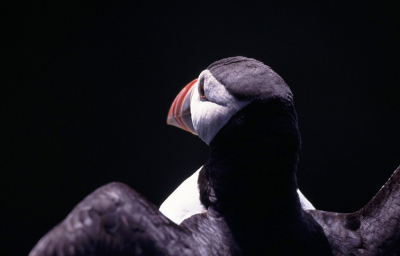 digitale kopie van een kodachrome 64 dia, gemaakt met een canon 20-d