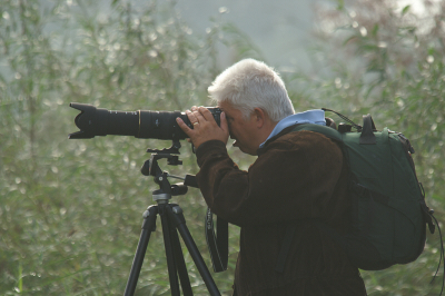 The making of http://www.birdpix.nl/album_page.php?pic_id=74354