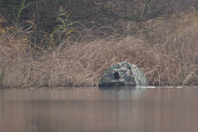 Met een 9mm natpak is het momenteel een uurtje vol te houden in het water. Het is veel werk, maar erg leuk om te doen.